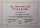 Prof. Dr. Erkan Yıldırım Göğüs Cerrahisi sertifikası