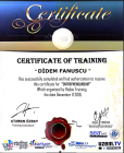 Psk. Dan. Didem Fanuscu Psikolojik Danışman sertifikası