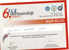 Doç. Dr. Özlem Karadağ Köse Dermatoloji sertifikası
