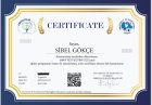 Aile Danışmanı Sibel Gökçe Aile Danışmanı sertifikası