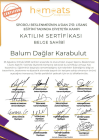 Dyt. Balum Dağlar Karabulut Diyetisyen sertifikası