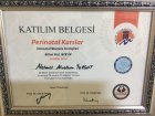 Op. Dr. Mehmet Mazlum Turgut Kadın Hastalıkları ve Doğum sertifikası