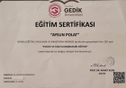 Aile Danışmanı Aysun Polat Aile Danışmanı sertifikası
