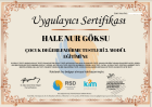 Psk. Hale Nur Göksu Psikoloji sertifikası