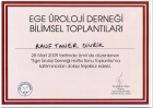 Prof. Dr. R. Taner Divrik Üroloji sertifikası