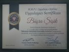 Psk. Büşra Şişik Psikoloji sertifikası