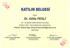 Op. Dr. Atilla Fesli Plastik Rekonstrüktif ve Estetik Cerrahi sertifikası