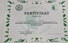Dil ve Konuşma Terapisti Nezrin Ökten Dil Konuşma Bozuklukları sertifikası