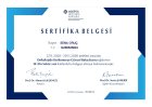 Dyt. Sena Oruç Diyetisyen sertifikası