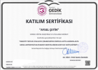 Klinik Psikolog  Aysel Çetin Psikoloji sertifikası