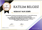 Dil ve Konuşma Terapisti Nebahat Nur Demir Dil Konuşma Bozuklukları sertifikası
