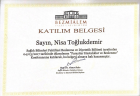 Dyt. Nisa Toğlukdemir Diyetisyen sertifikası