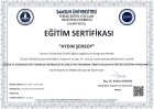 Psk. Aydın Şensoy Psikoloji sertifikası