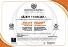 Psk. Gizem Çolakoğlu Psikoloji sertifikası