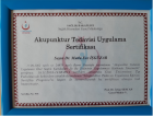 Uzm. Dr. Mutlu Ece İşgüzar Akupunktur sertifikası
