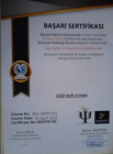 Psk. Ezginur Ayhan Psikoloji sertifikası