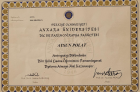 Aile Danışmanı Aysun Polat Aile Danışmanı sertifikası