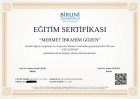 Psk. Dan. Mehmet İbrahim Gözen Psikolojik Danışman sertifikası