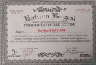 Uzm. Psk. Safiye Elif Çam Köseoğlu Psikoloji sertifikası