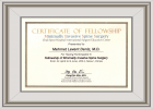 Op. Dr. Mehmet Levent Deniz Beyin ve Sinir Cerrahisi sertifikası