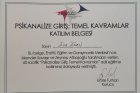 Uzm. Psk. Dan. Ece Eken Psikolojik Danışman sertifikası