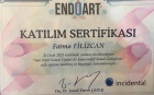 Dt. Fatma Kaya Filizcan Diş Hekimi sertifikası