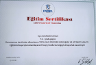 Psk. Ezginur Ayhan Psikoloji sertifikası