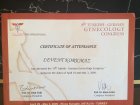 Dr. Levent Korkmaz Kadın Hastalıkları ve Doğum sertifikası