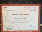 Dr. Levent Korkmaz Kadın Hastalıkları ve Doğum sertifikası