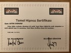 Uzm. Dr. Arten Dyrmishi Diş Hekimi sertifikası