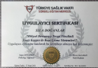 Psk. Dan. Sıla Doğanlar Psikolojik Danışman sertifikası