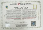 Uzm. Kl. Psk. Murat Polat Psikoloji sertifikası