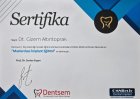 Dt. Gizem Altıntoprak Diş Hekimi sertifikası
