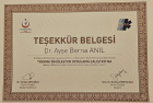 Prof. Dr. Ayşe Berna Anıl Çocuk Sağlığı ve Hastalıkları sertifikası