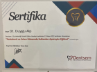 Dt. Duygu Alp Diş Hekimi sertifikası