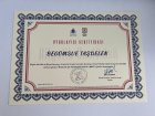 Uzm. Psk. Begümsue Taşdelen Psikoloji sertifikası