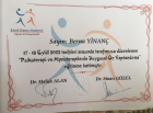Uzm. Dr. Berna Yinanç Diğer sertifikası