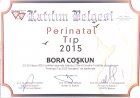 Doç. Dr. Bora Coskun Kadın Hastalıkları ve Doğum sertifikası