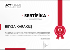 Psk. Beyza Bayırlı Psikoloji sertifikası