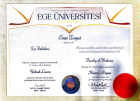 Doç. Dr. Emre Turgut Genel Cerrahi sertifikası