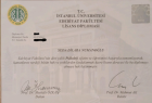 Klinik Psikolog  Dilara Numanoglu Psikoloji sertifikası