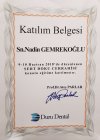 Dt. Nadin Gemrekoğlu Diş Hekimi sertifikası