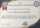 Uzm. Dr. Rukiye Çolak Sivri Çocuk ve Ergen Psikiyatristi sertifikası