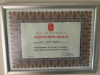 Prof. Dr. Serab Arslan Gastroenteroloji sertifikası