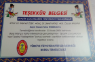 Fzt. Hasan Temizkan Fizyoterapi sertifikası