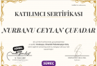 Psk. Nurbanu Ceylan Çufadar Psikoloji sertifikası