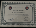 Psk. Ayşe Betül Gök Psikoloji sertifikası