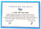 Klinik Psikolog  Esra Obuz Klinik Psikolog sertifikası