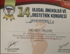 Op. Dr. Nesrin Büyükbayram Kadın Hastalıkları ve Doğum sertifikası