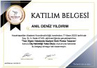 Dt. Anıl Deniz Yıldırım Diş Hekimi sertifikası